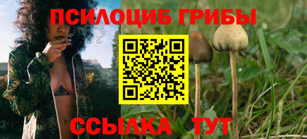 Псилоцибиновые грибы прущие грибы  Вход с VPN  Кореновск  Галлюциногенные грибы Cubensis 